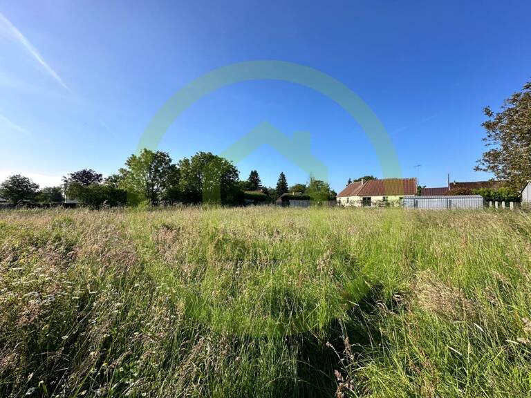 Terrain — photo 1