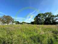 Terrain — photo 2