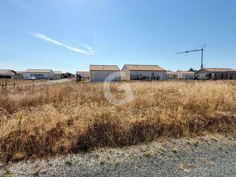 TERRAIN A BATIR - VIABILISÉ - 339 M² - A VENDRE - SAINT VINCENT SUR JARD — photo 1