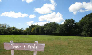 Terrain  2000 m² à vendre à Saussines (34160)