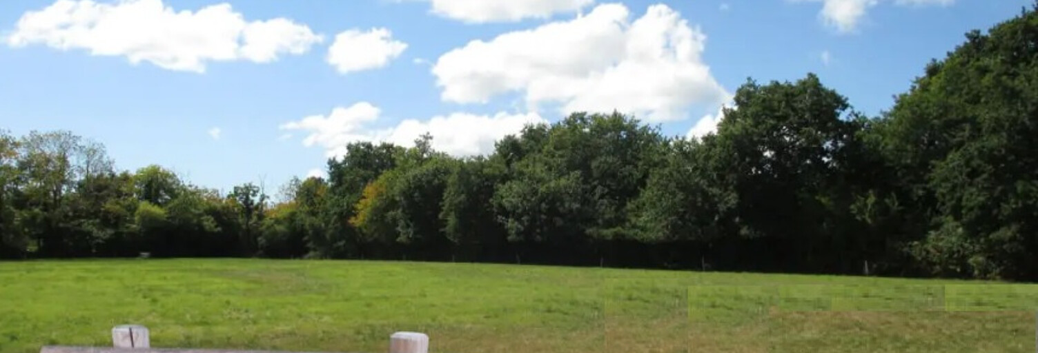Terrain  2000 m² à vendre à Saussines (34160)