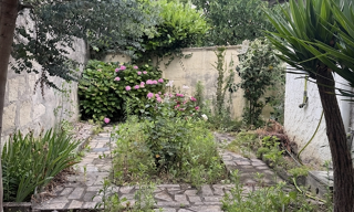 Photo N° 2