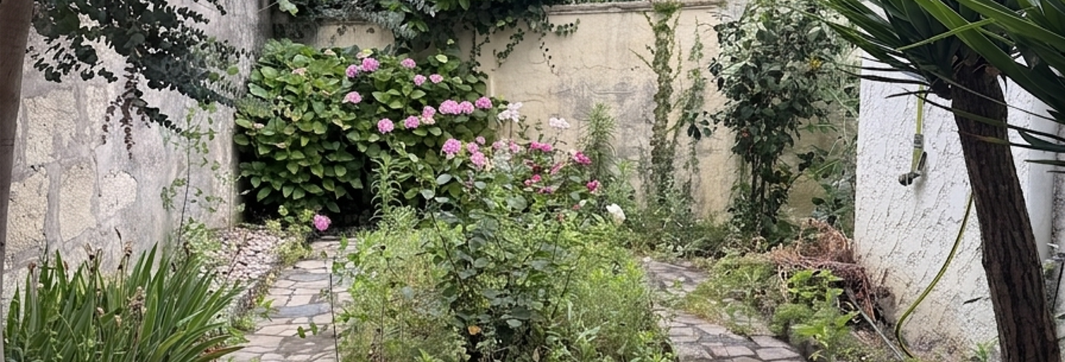 Photo N° 2