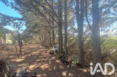 Terrain  150000 €