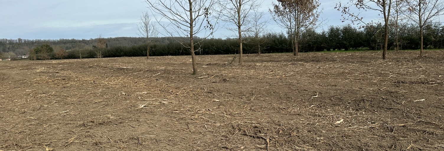 Terrain  1500 m² à vendre à Saint-Antoine-de-Breuilh (24230)