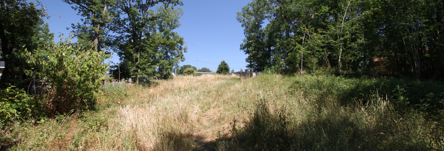 Terrain  2000 m² à vendre à Montdurausse (81630)