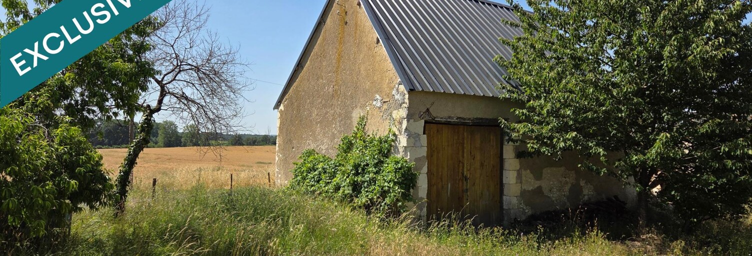 Maison 1 Pièce 50 m² à vendre à Tournon-Saint-Pierre (37290)