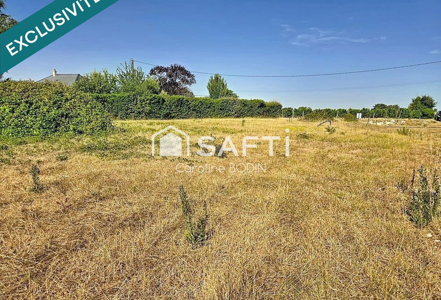 Terrain entre vigne et campagne — photo 1