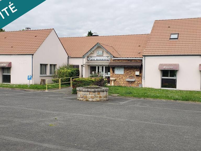 Immobilier commercial 400 m2, appartement 65 m2, terrain/parkings 9199 m2 — photo 1