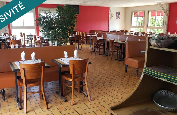 Immobilier commercial 400 m2, appartement 65 m2, terrain/parkings 9199 m2 — photo 4