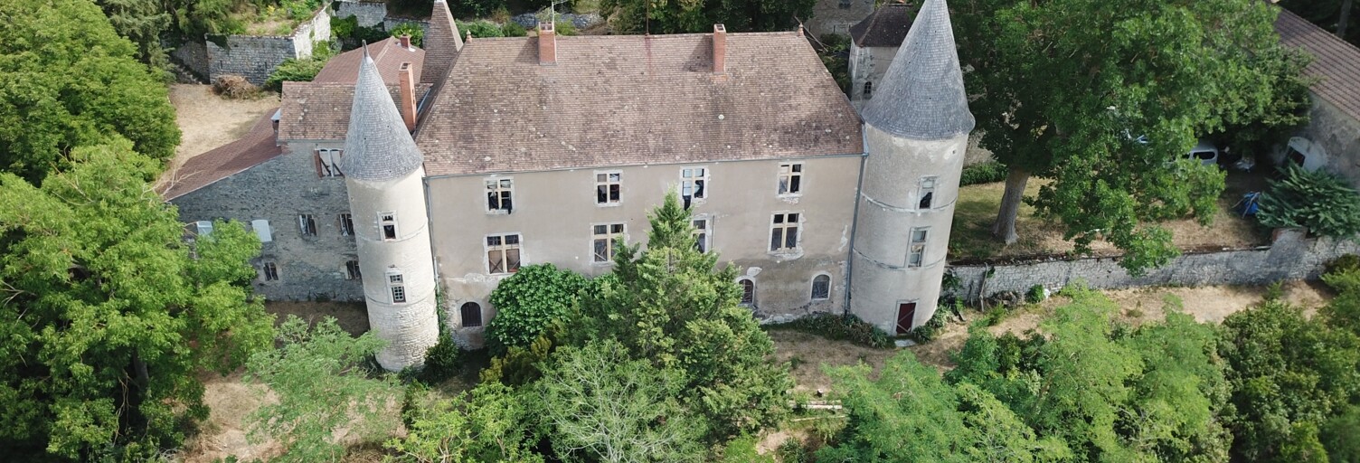 Maison 14 Pièces 355 m² à vendre à Vicq (03450)