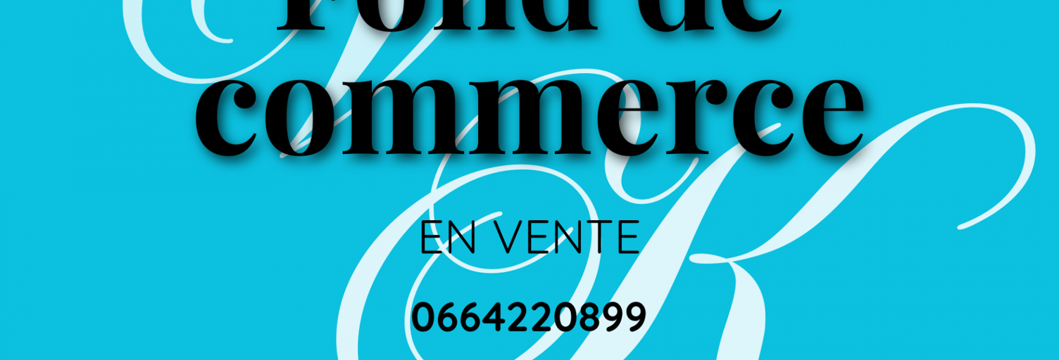 Commerce  254 m² à vendre à Josnes (41370)