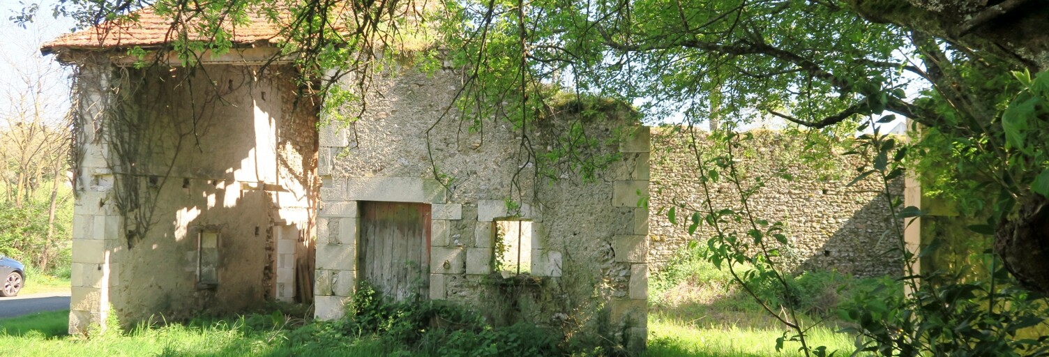 Maison 1 Pièce 100 m² à vendre à Chapelle-Viviers (86300)
