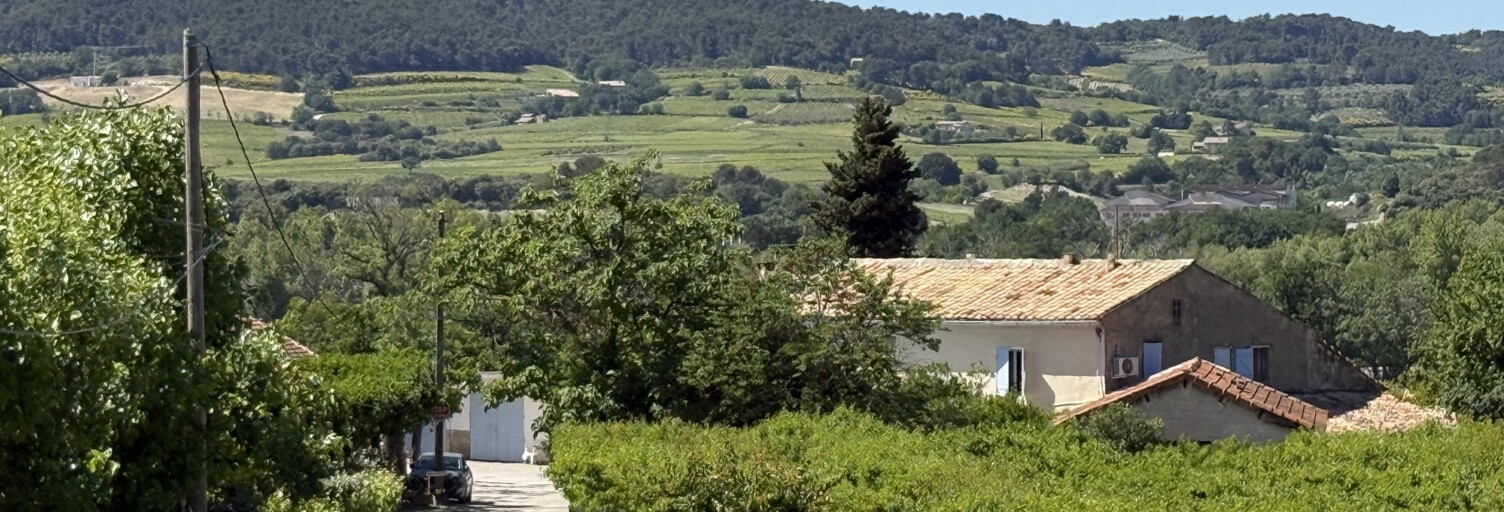 Maison 8 Pièces 167 m² à vendre à Mirabel-aux-Baronnies (26110)
