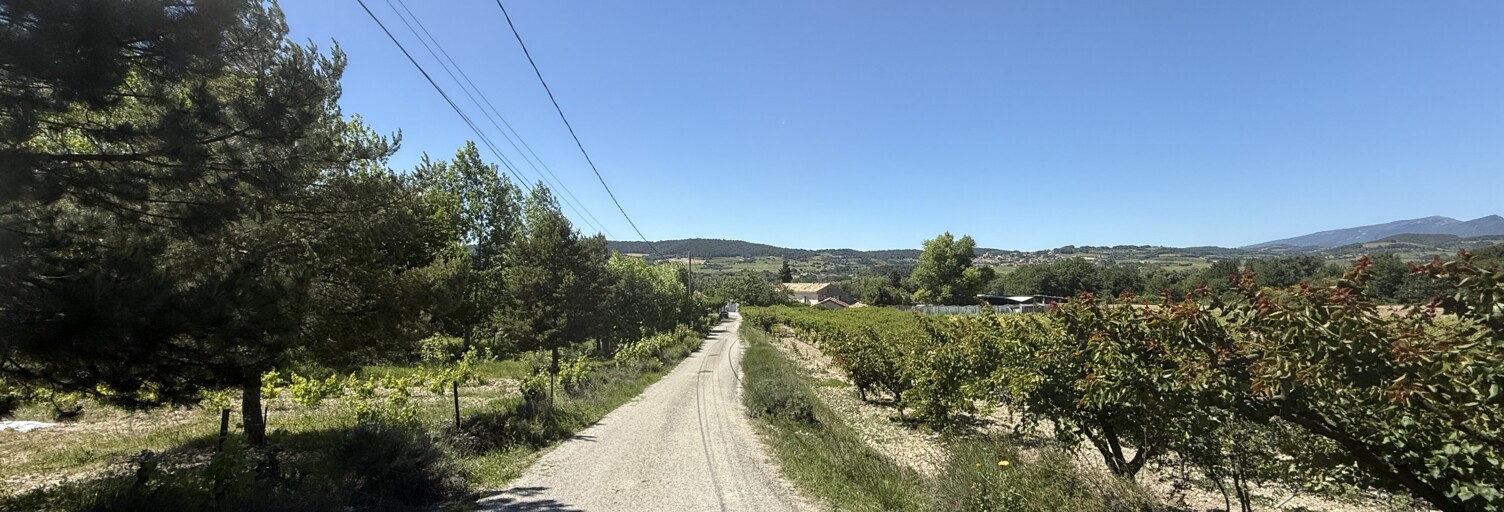 Photo N° 2