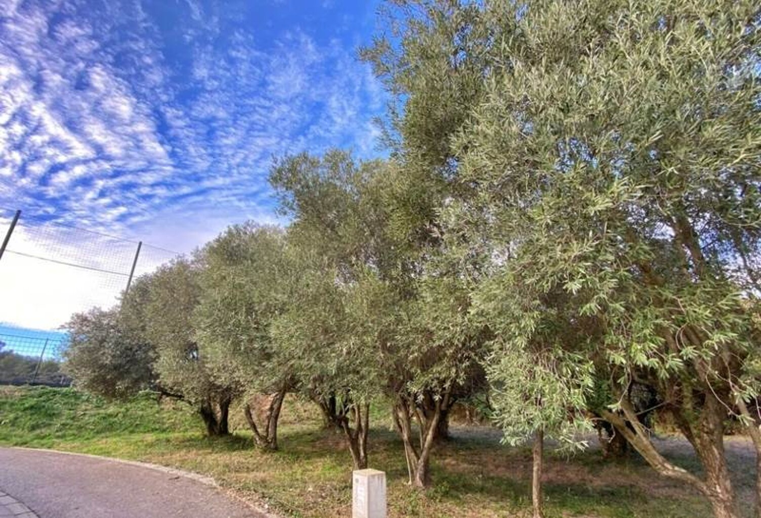 Terrain à bâtir de 0 pièces principales — photo 1