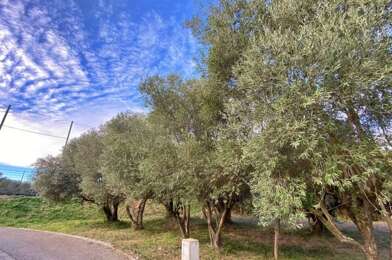 Terrain  296000 €