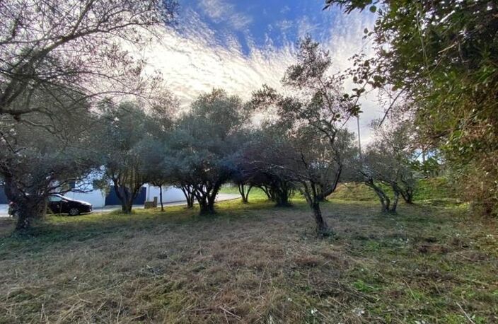 Terrain à bâtir de 0 pièces principales — photo 2