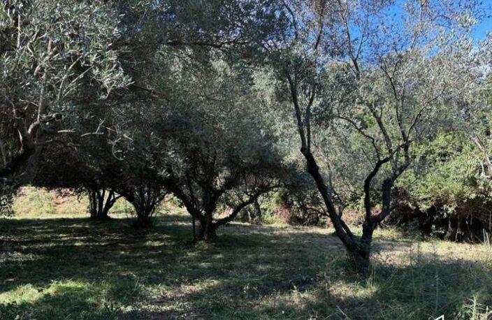 Terrain à bâtir de 0 pièces principales — photo 3