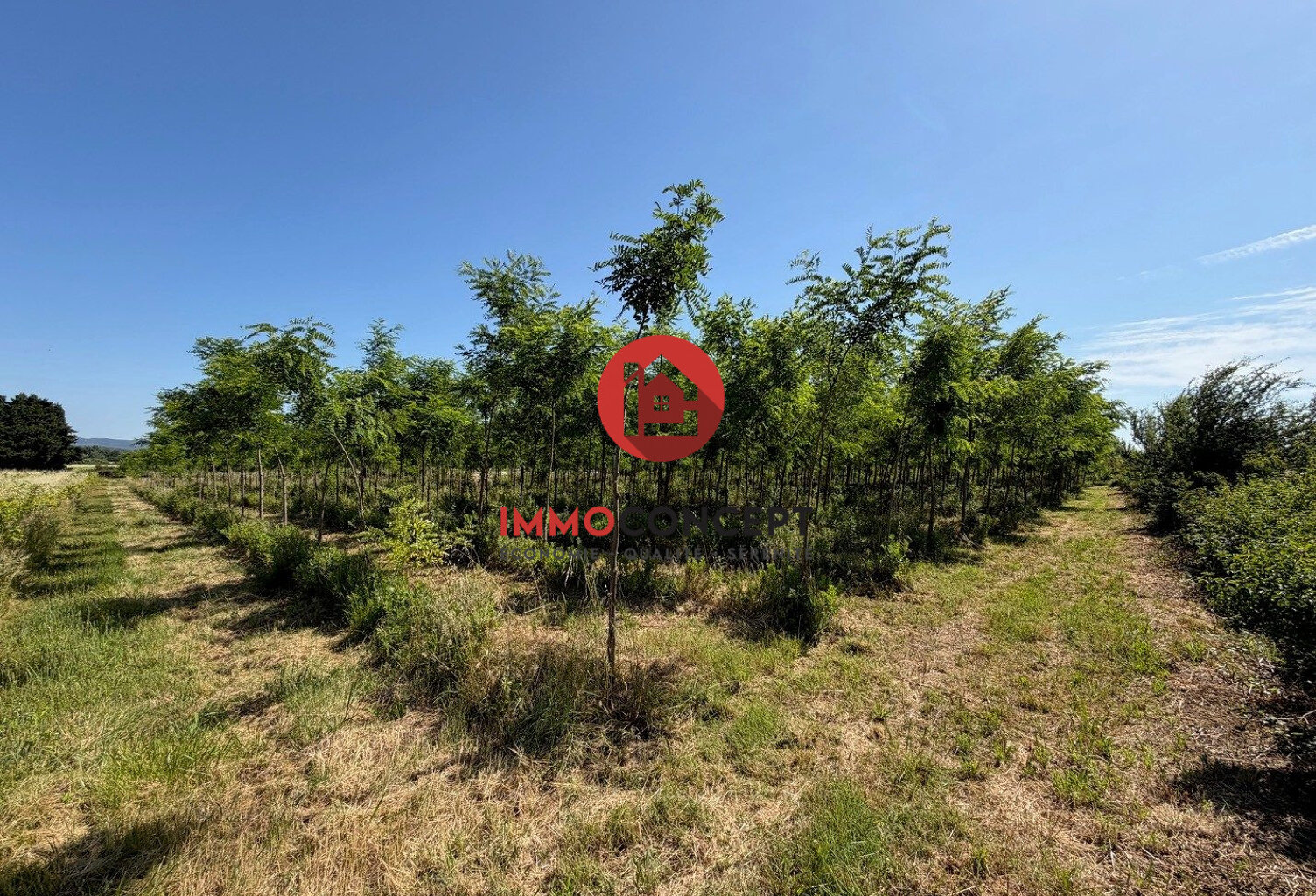 Terrain à vendre Laudun-l'Ardoise — photo 1