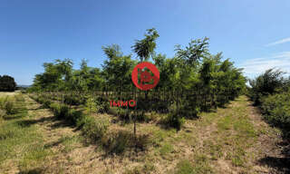 Terrain  9847 m² à vendre à Laudun-l'Ardoise (30290)