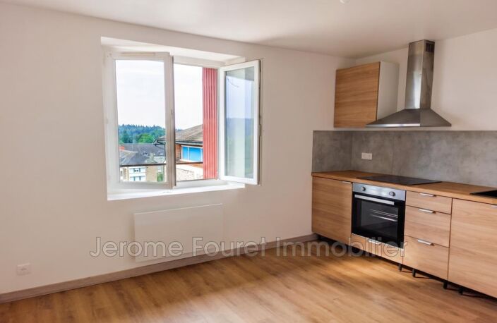 NEUVIC - APPARTEMENT T2- vue sur les Monts d'Auvergne — photo 2
