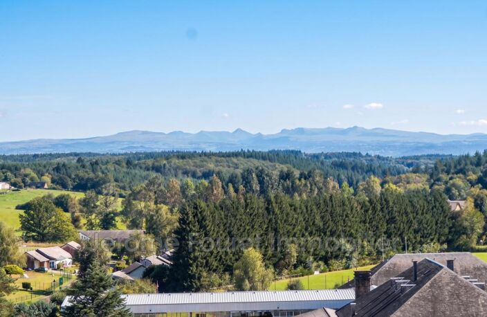 NEUVIC - APPARTEMENT T2- vue sur les Monts d'Auvergne — photo 3