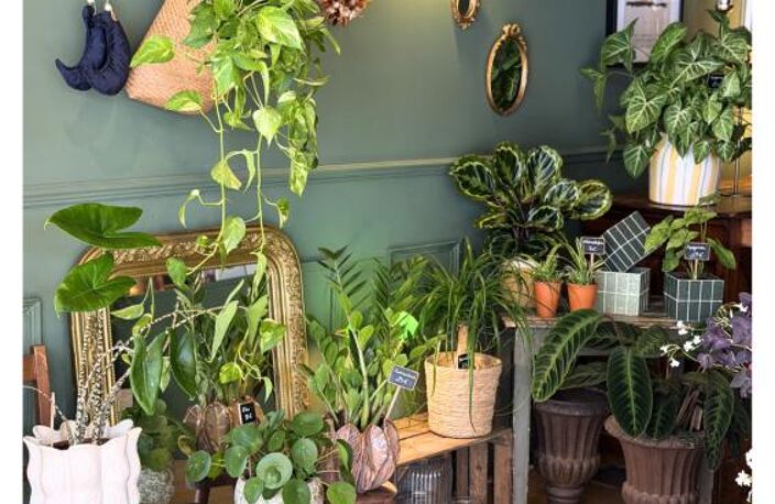 FONDS DE COMMERCE DE FLEURISTE — photo 3