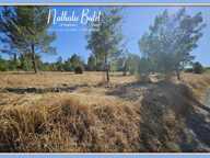 À 5 MINUTES DE SAINT-CHINIAN – OFFREZ-VOUS UN CADRE DE VIE UNIQUE POUR CONSTRUIRE VOTRE FUTURE MAISON — photo 2