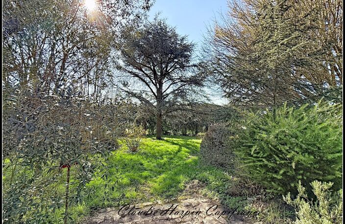 Maison à vendre 8 pièces  (79) CHATILLON-SUR-THOUET - 219 m² hab 4 à 6 ch - terrain environ 2500 m² — photo 4