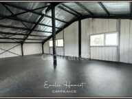 A louer - Local commercial - 130m² - Fort de France - Dillon — photo 3