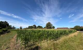 Terrain  9020 m² à vendre à Sens-sur-Seille (71330)