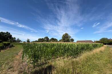Terrain  49000 €