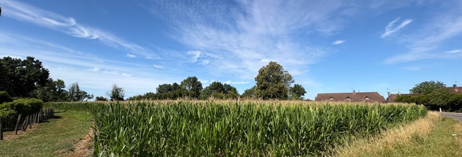 Terrain  9020 m² à vendre à Sens-sur-Seille (71330)