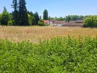 Terrain à vendre de 2 099,00 m² MALAUSE (82) — photo 3