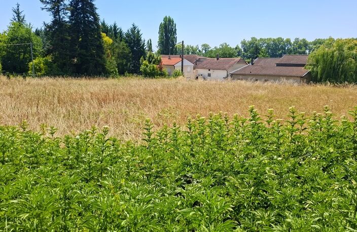 Terrain à vendre de 2 099,00 m² MALAUSE (82) — photo 3