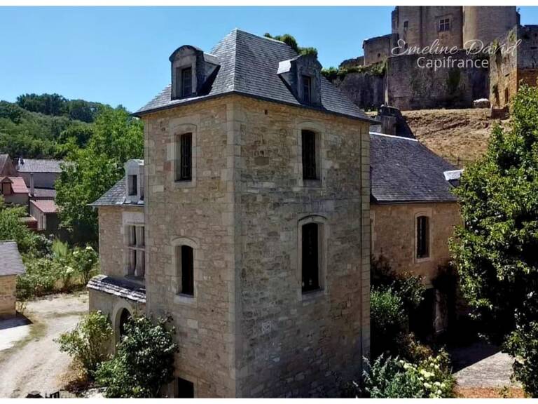 Domaine de caractère à Salignac-Eyvigues – Grands volumes, charme et potentiel touristique — photo 1