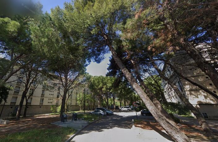 T3 - AVIGNON - MONTMAJOUR — photo 2