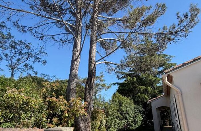 Maison indépendante 5 pièces sur parcelle de plus de 600m² — photo 2