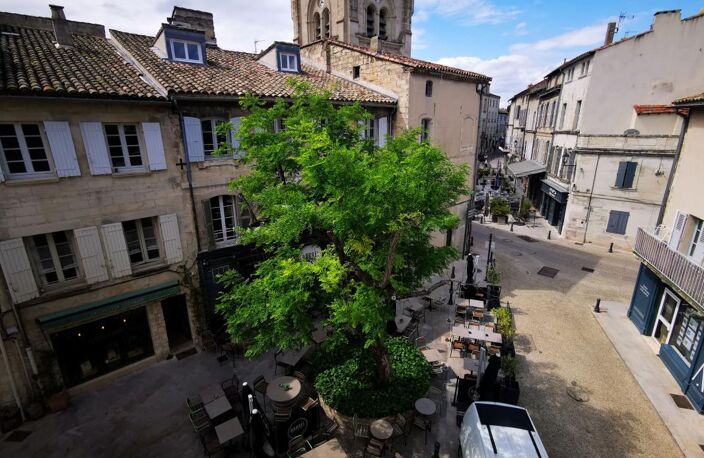 Appartement À Louer centre de Villeneuve les Avignon — photo 5