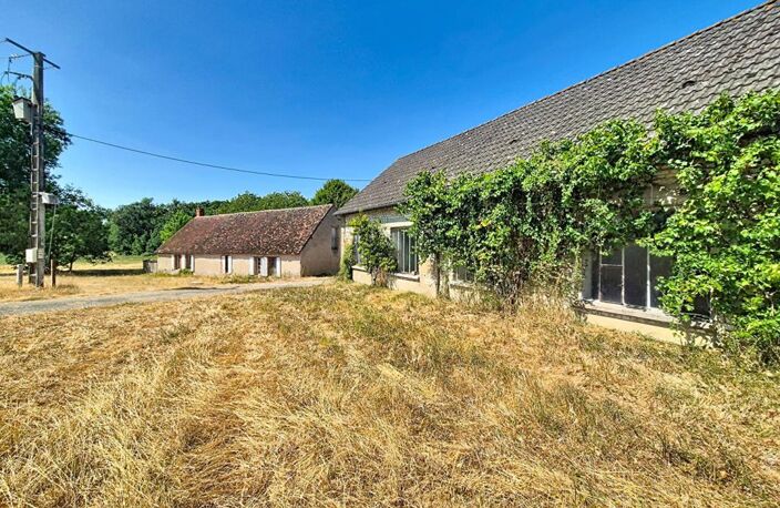 Un domaine de 11,6 hectares aux portes d'Avord — photo 2