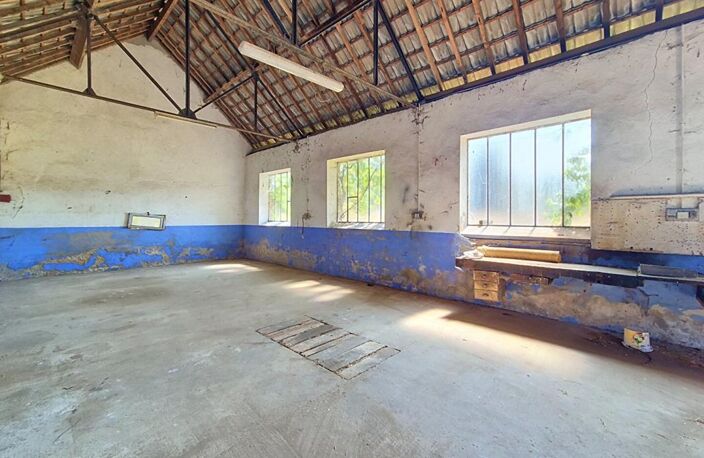 Un domaine de 11,6 hectares aux portes d'Avord — photo 5