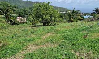 Terrain  1494 m² à vendre à Le Morne-Vert (97226)