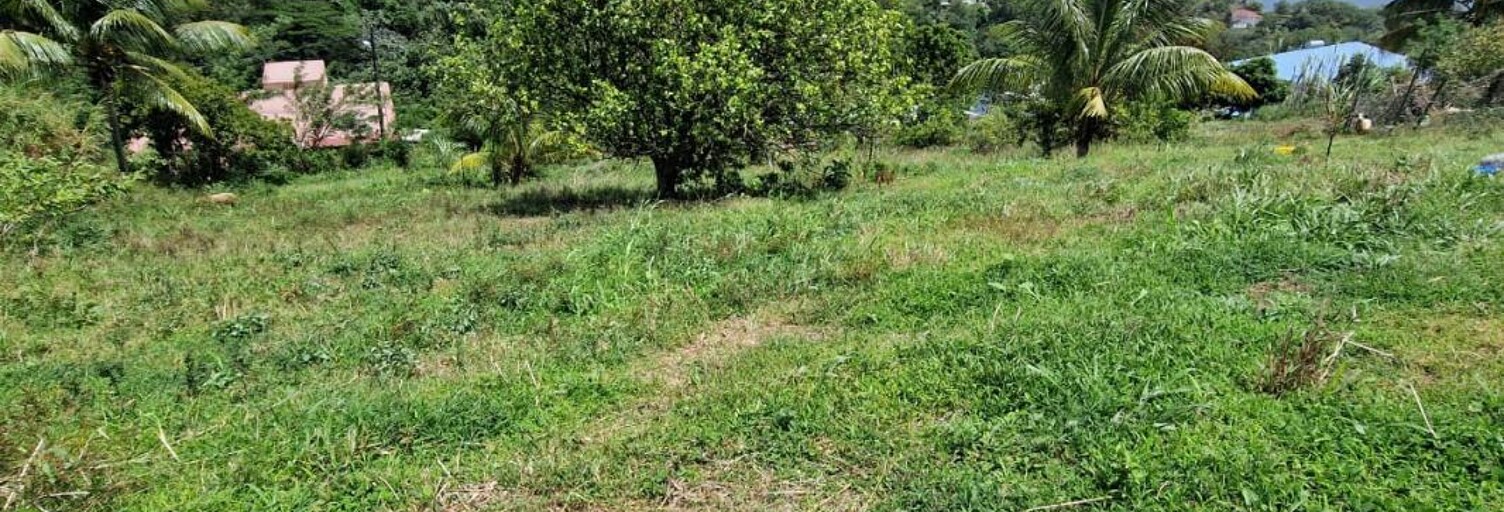 Terrain  1494 m² à vendre à Le Morne-Vert (97226)