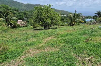 Terrain Le Morne Vert — photo du bien