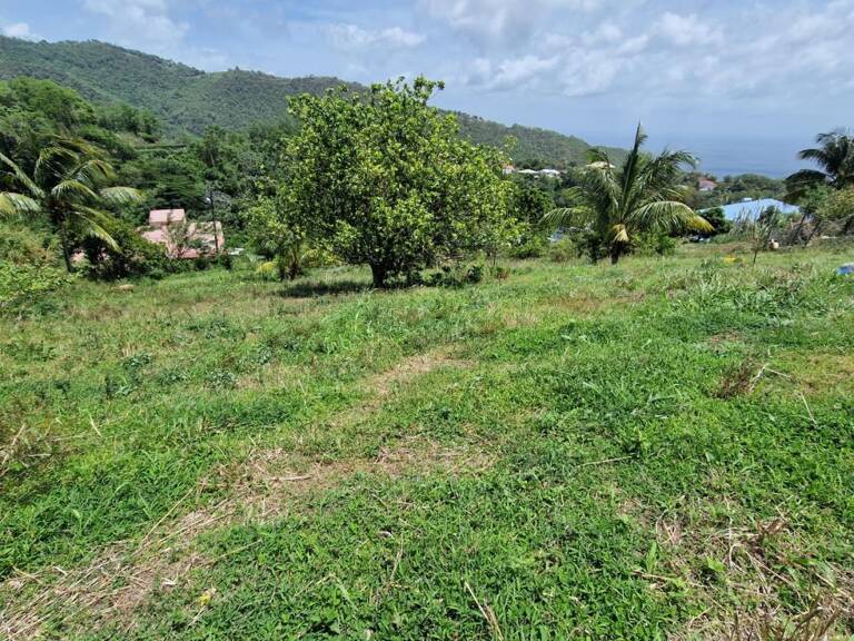 Terrain Le Morne Vert — photo 1