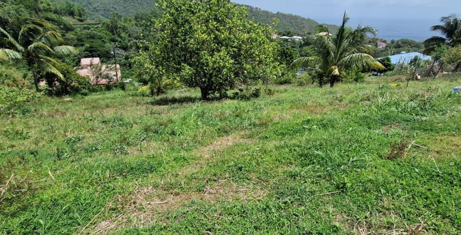 Terrain Le Morne Vert — photo 1