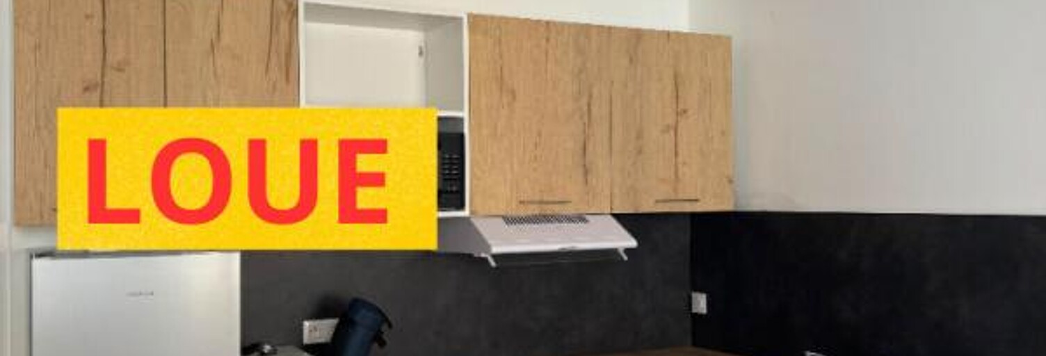 Appartement 1 Pièce 23 m² à louer à Roanne (42300)