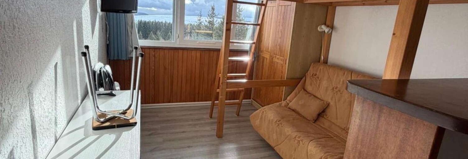 Appartement 1 Pièce 20 m² à vendre à Besse-et-Saint-Anastaise (63610)