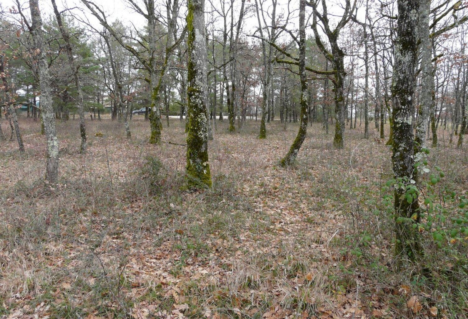 Terrain 3665-Terrain constructible — photo 1